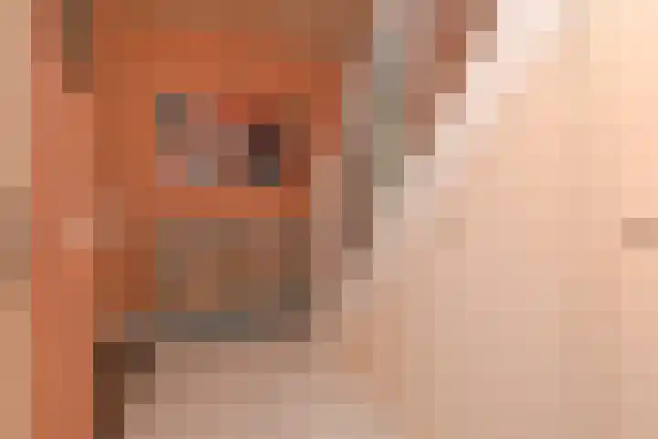 Doesburgerpad 22 Berkel en Rodenrijs thumbnail 7