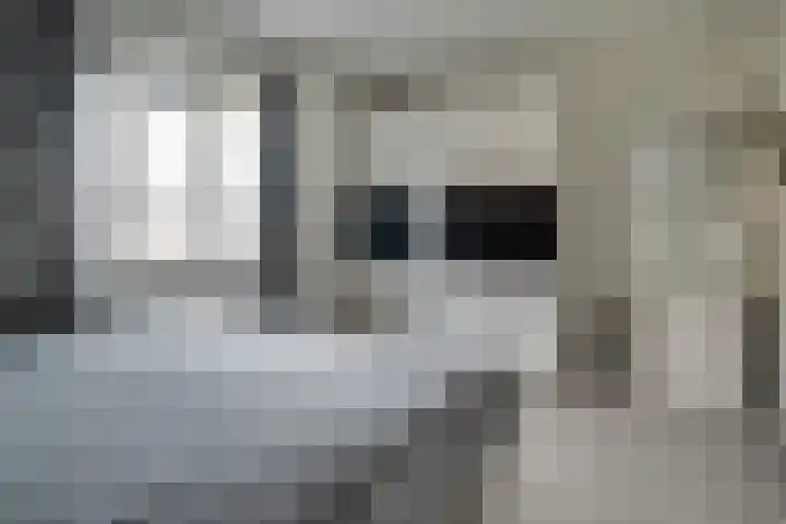 Doesburgerpad 34 Berkel en Rodenrijs thumbnail 15