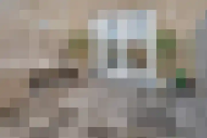 Doesburgerpad 34 Berkel en Rodenrijs thumbnail 23