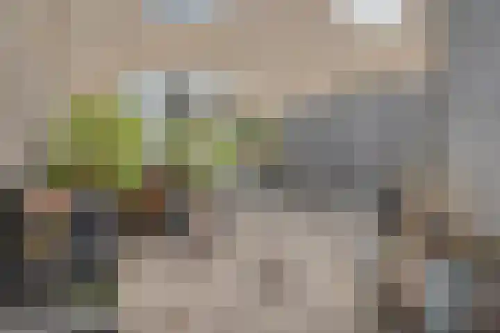 Doesburgerpad 34 Berkel en Rodenrijs thumbnail 24