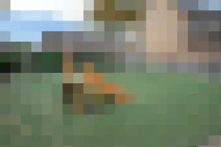 Doesburgerpad 34 Berkel en Rodenrijs thumbnail 25