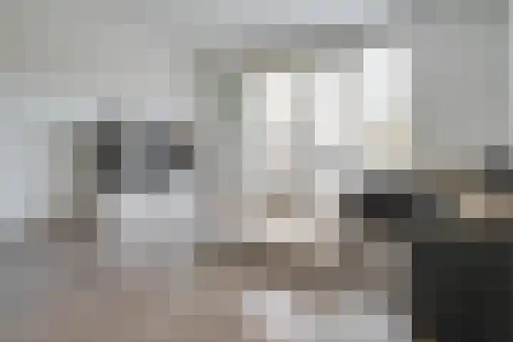 Doesburgerpad 34 Berkel en Rodenrijs thumbnail 7