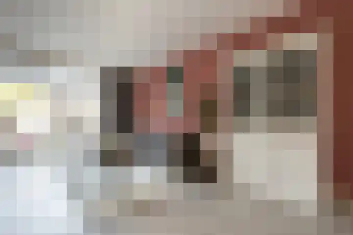 Doesburgerpad 40 Berkel en Rodenrijs thumbnail 11