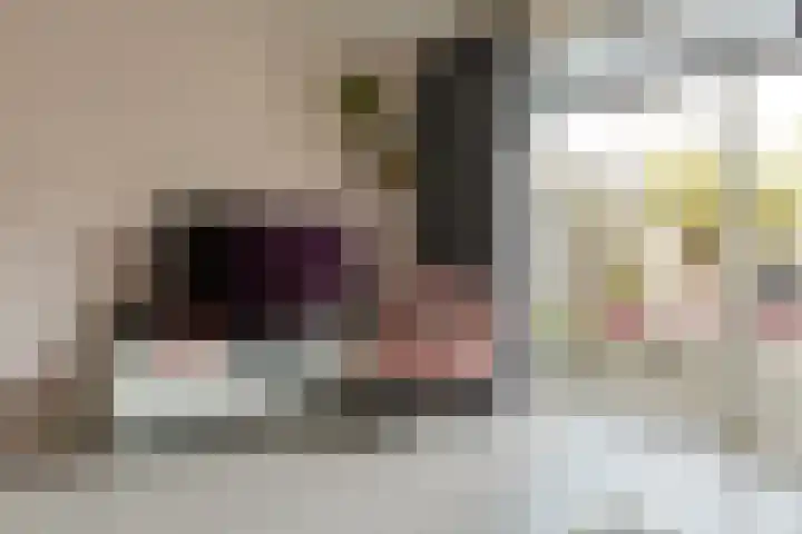 Doesburgerpad 40 Berkel en Rodenrijs thumbnail 12