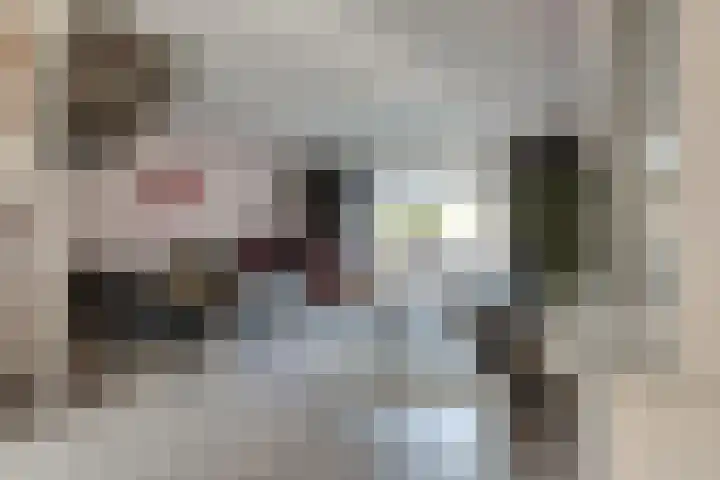Doesburgerpad 40 Berkel en Rodenrijs thumbnail 15