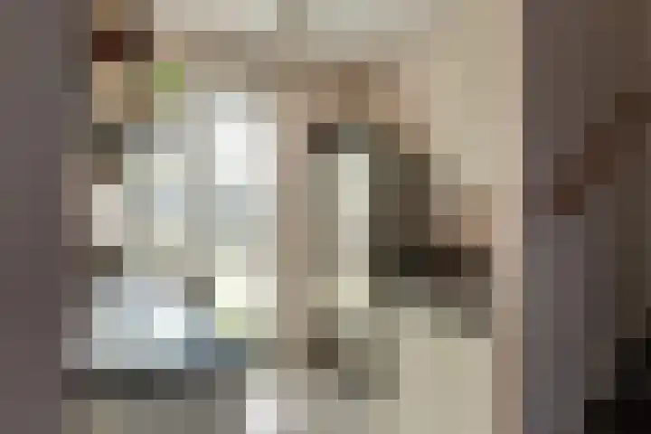 Doesburgerpad 40 Berkel en Rodenrijs thumbnail 18