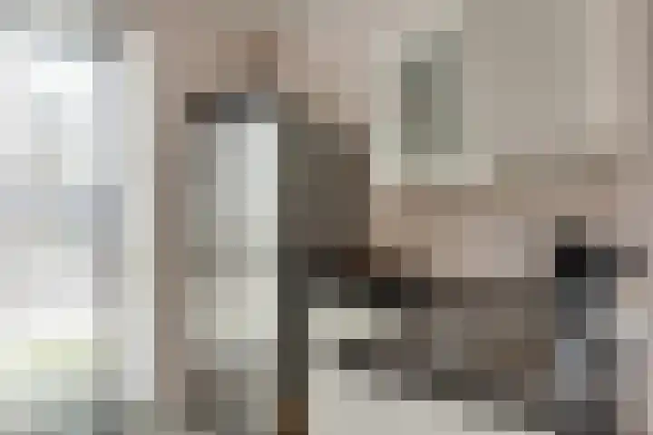 Doesburgerpad 40 Berkel en Rodenrijs thumbnail 19