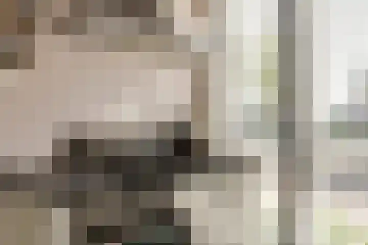Doesburgerpad 40 Berkel en Rodenrijs thumbnail 20