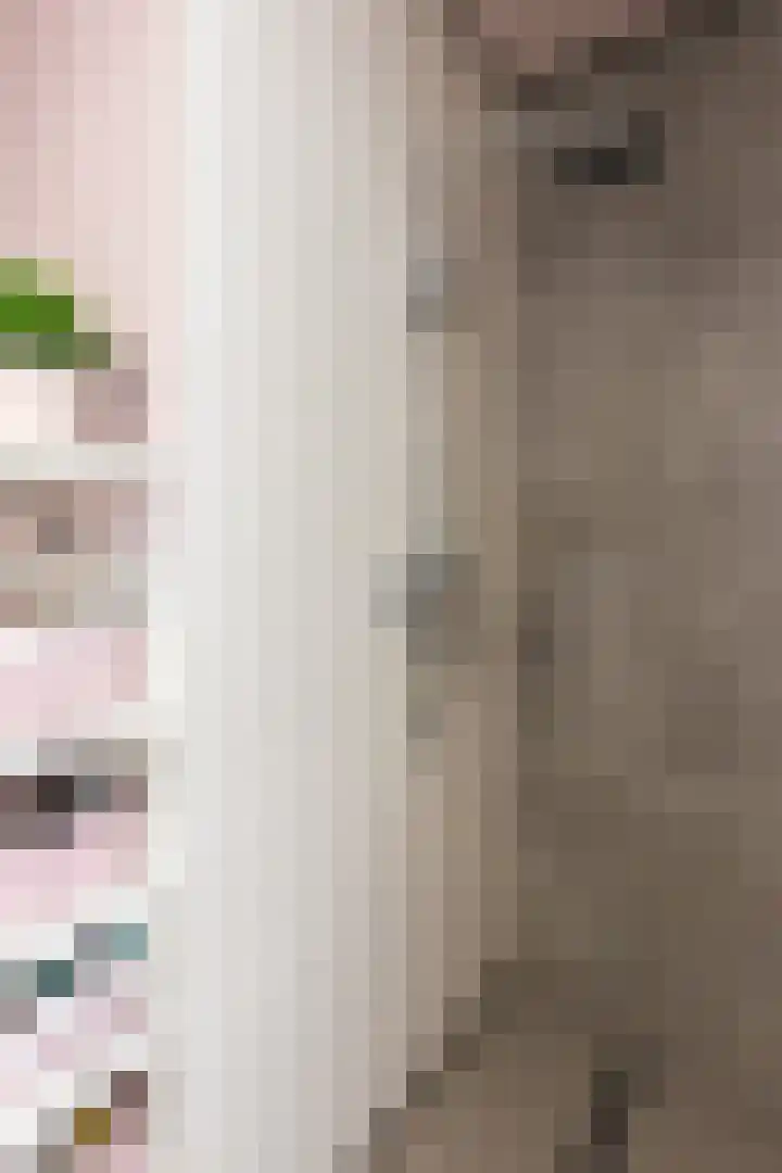 Doesburgerpad 40 Berkel en Rodenrijs thumbnail 30