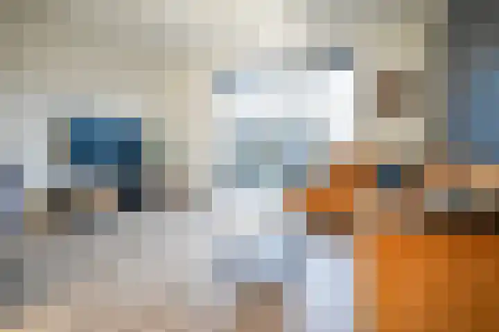 Doesburgerpad 42 Berkel en Rodenrijs thumbnail 12