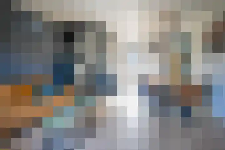 Doesburgerpad 42 Berkel en Rodenrijs thumbnail 13