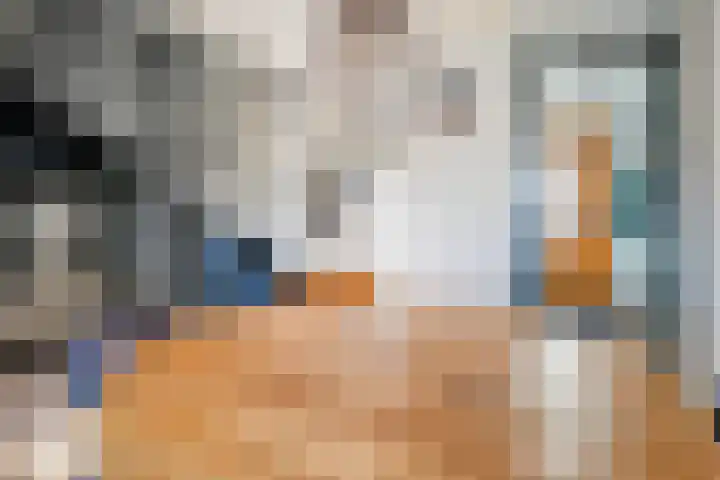 Doesburgerpad 42 Berkel en Rodenrijs thumbnail 14