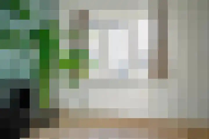 Doesburgerpad 42 Berkel en Rodenrijs thumbnail 21