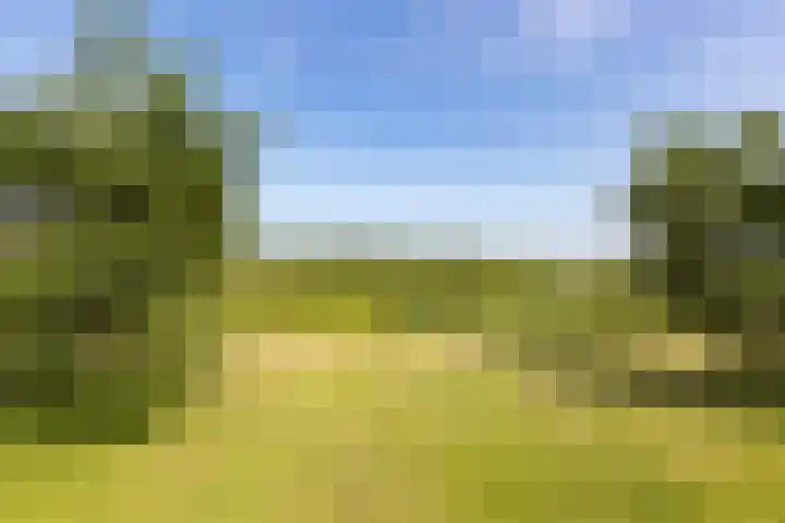Doesburgerpad 42 Berkel en Rodenrijs thumbnail 33