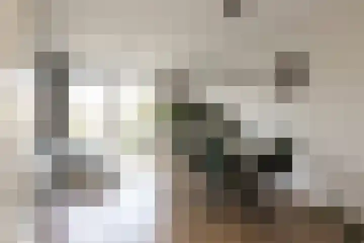 Doesburgerpad 44 Berkel en Rodenrijs thumbnail 11