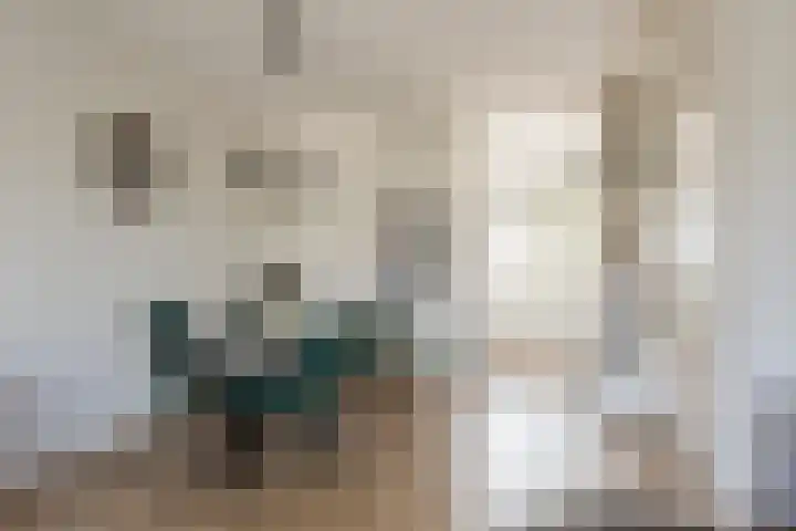 Doesburgerpad 44 Berkel en Rodenrijs thumbnail 12