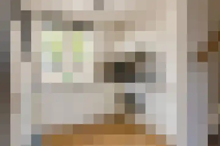 Doesburgerpad 44 Berkel en Rodenrijs thumbnail 14