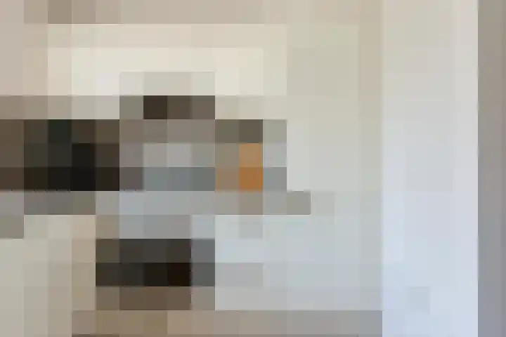 Doesburgerpad 44 Berkel en Rodenrijs thumbnail 16