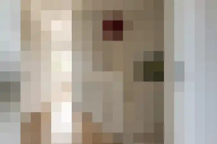 Doesburgerpad 44 Berkel en Rodenrijs thumbnail 17