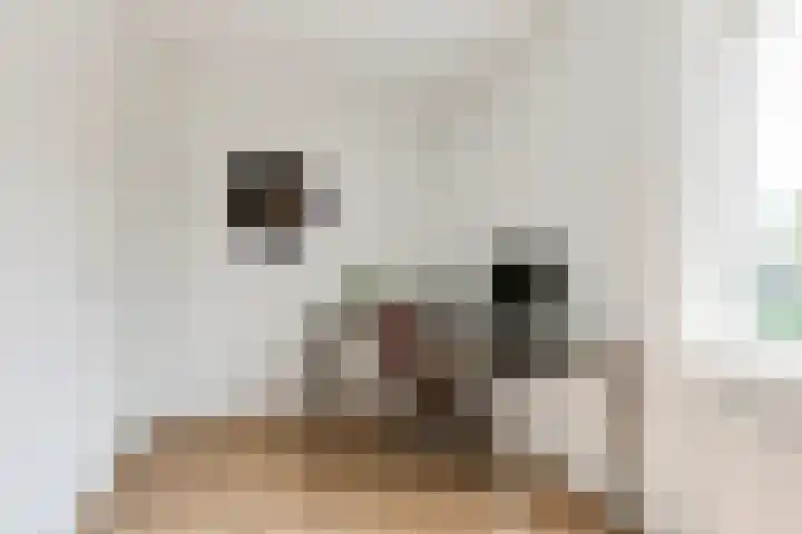 Doesburgerpad 44 Berkel en Rodenrijs thumbnail 21