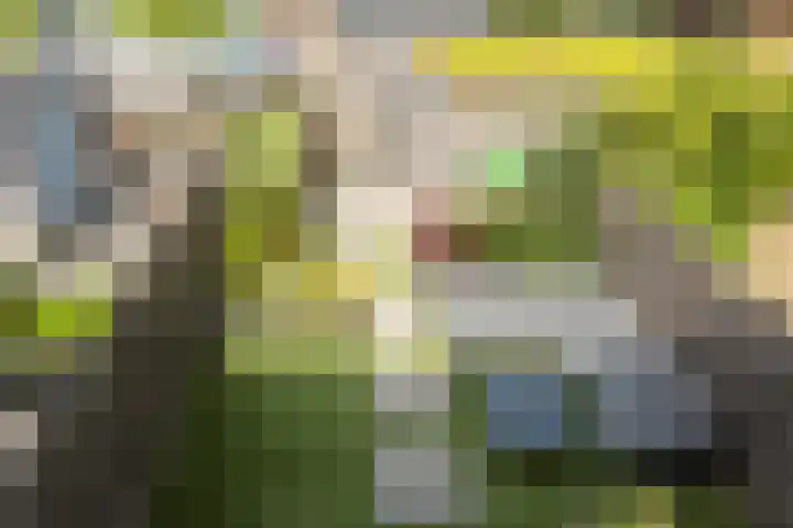 Doesburgerpad 44 Berkel en Rodenrijs thumbnail 25