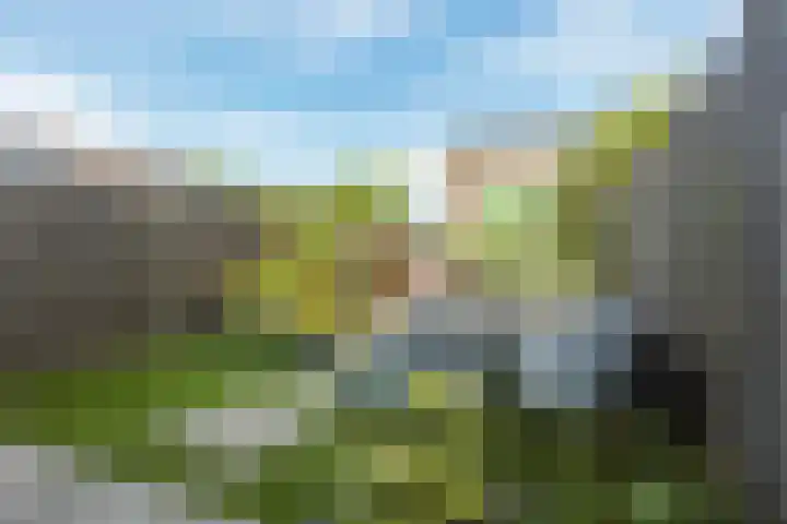 Doesburgerpad 44 Berkel en Rodenrijs thumbnail 26