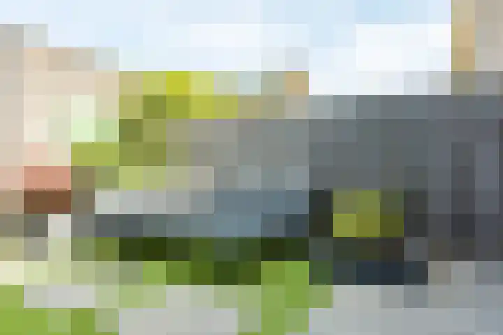 Doesburgerpad 44 Berkel en Rodenrijs thumbnail 28