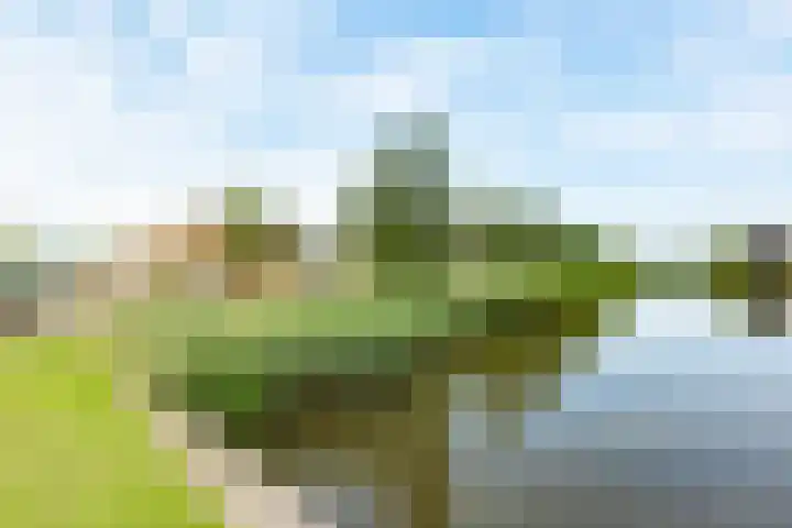 Doesburgerpad 44 Berkel en Rodenrijs thumbnail 4