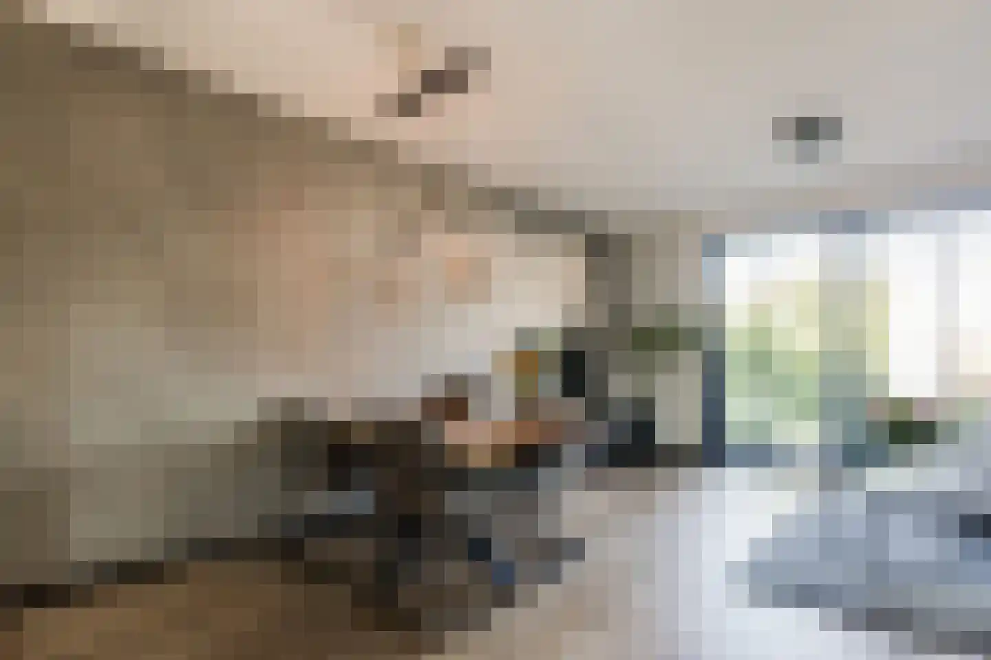 Doesburgerpad 46 Berkel en Rodenrijs thumbnail 14
