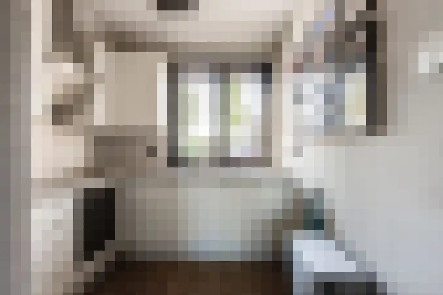 Doesburgerpad 46 Berkel en Rodenrijs thumbnail 16