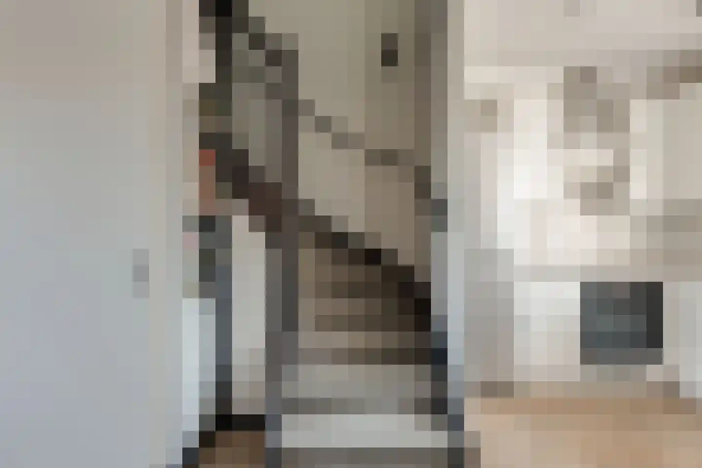 Doesburgerpad 46 Berkel en Rodenrijs thumbnail 17