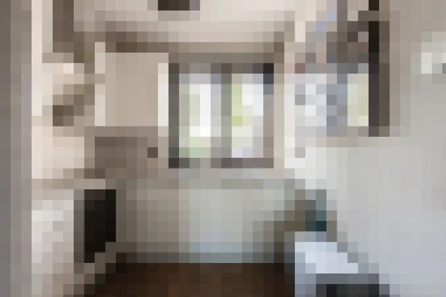 Doesburgerpad 46 Berkel en Rodenrijs thumbnail 4