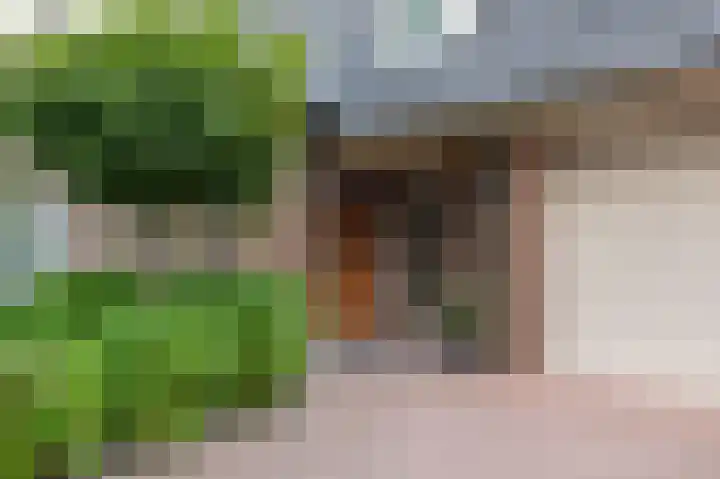 Doesburgseweg 10 Wehl thumbnail 10