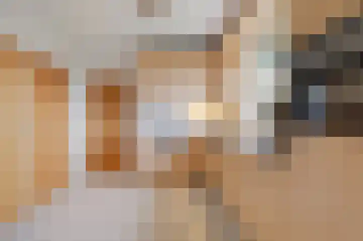 Doesburgseweg 10 Wehl thumbnail 25
