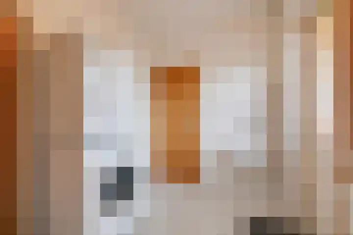 Doesburgseweg 10 Wehl thumbnail 28