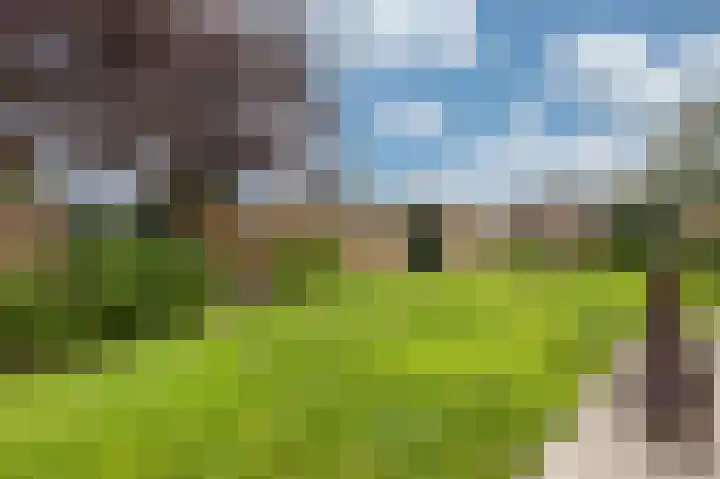 Doesburgseweg 10 Wehl thumbnail 31