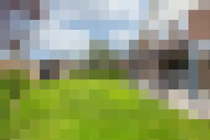 Doesburgseweg 10 Wehl thumbnail 32