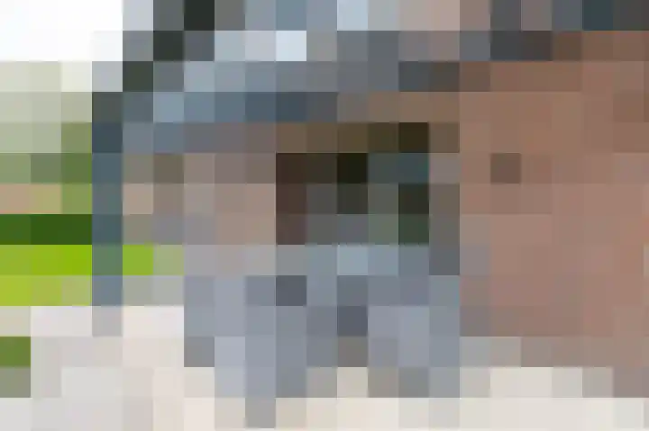 Doesburgseweg 10 Wehl thumbnail 35
