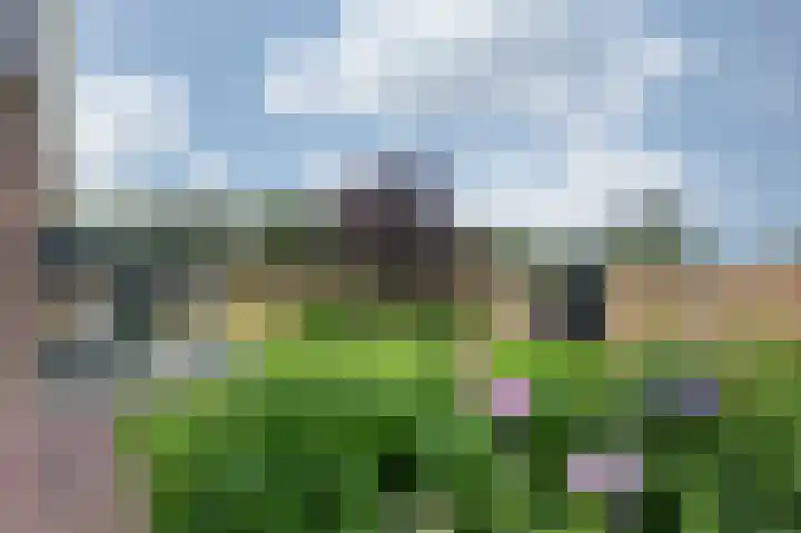 Doesburgseweg 10 Wehl thumbnail 37