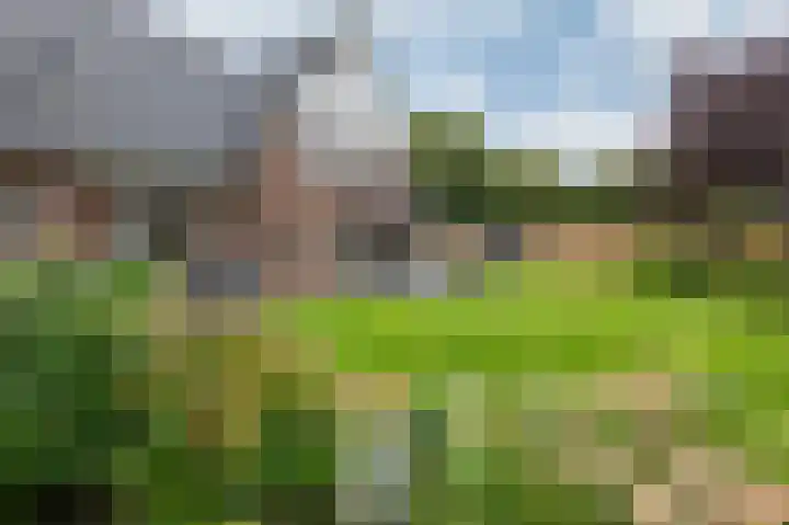 Doesburgseweg 10 Wehl thumbnail 38