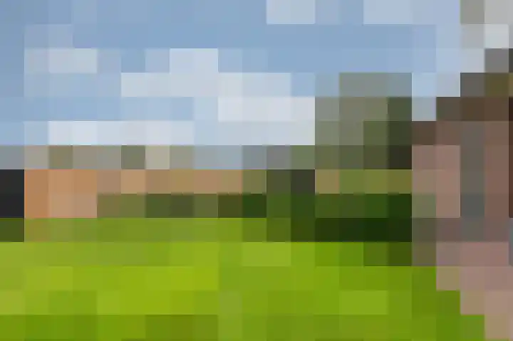 Doesburgseweg 10 Wehl thumbnail 39