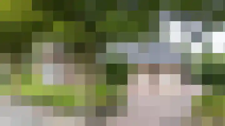Doesburgseweg 10 Wehl thumbnail 4
