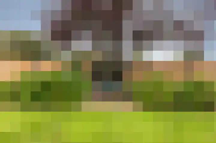 Doesburgseweg 10 Wehl thumbnail 40