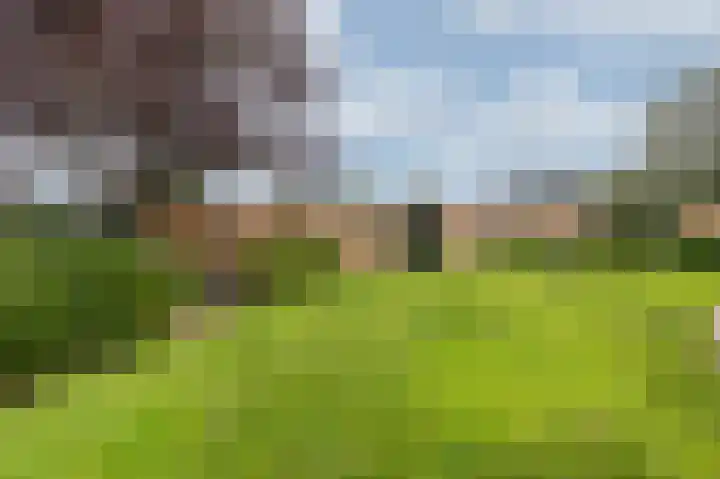 Doesburgseweg 10 Wehl thumbnail 41