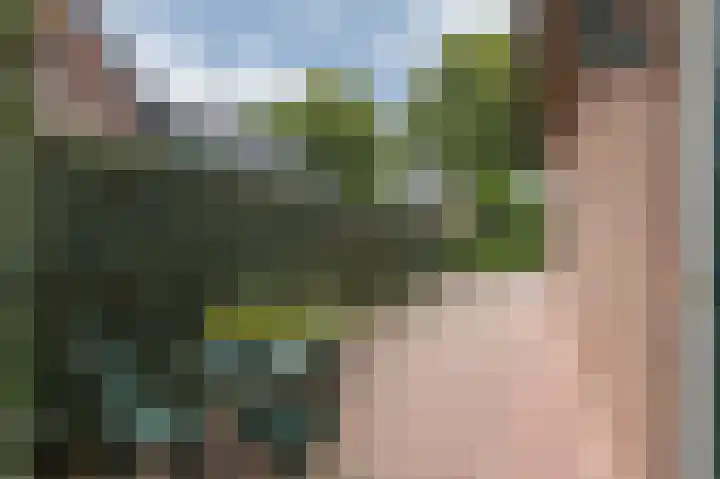 Doesburgseweg 10 Wehl thumbnail 42