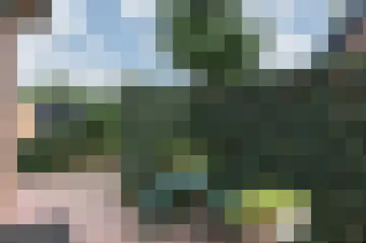 Doesburgseweg 10 Wehl thumbnail 43
