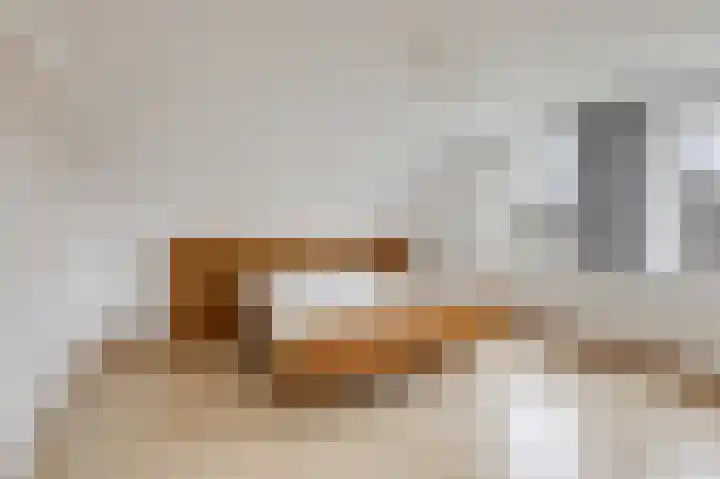 Doesburgseweg 10 Wehl thumbnail 45