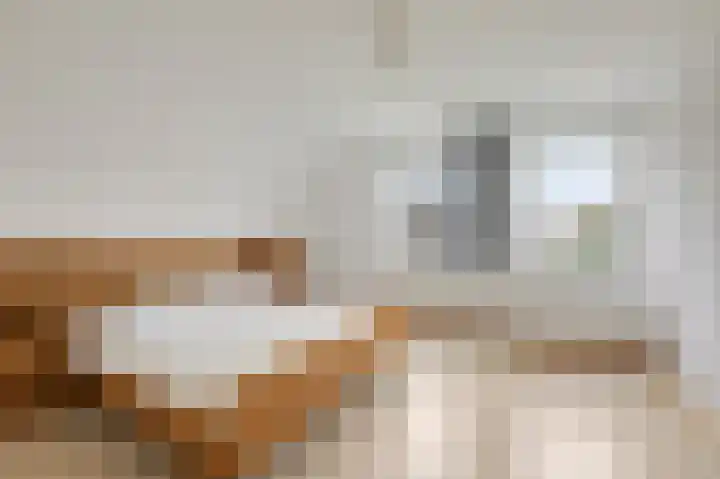 Doesburgseweg 10 Wehl thumbnail 46
