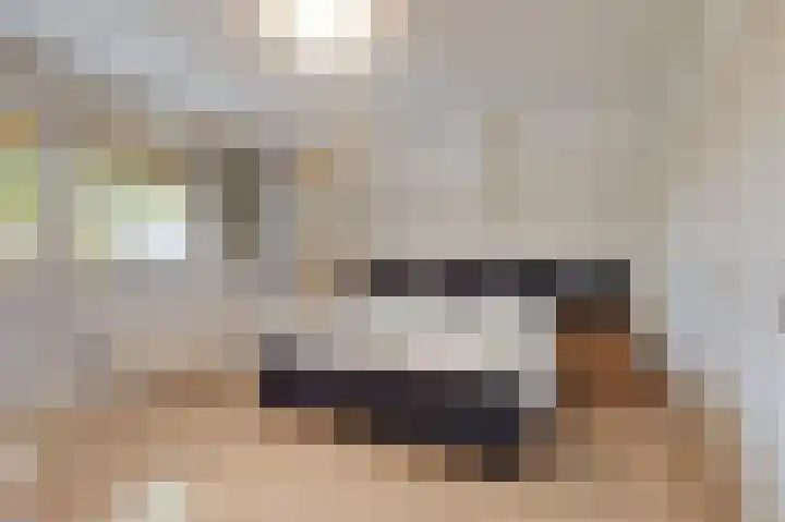 Doesburgseweg 10 Wehl thumbnail 48