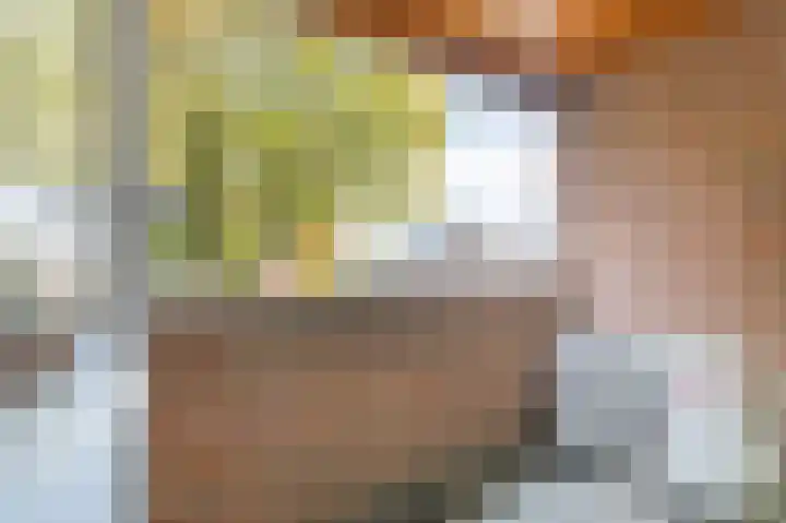 Doesburgseweg 10 Wehl thumbnail 50